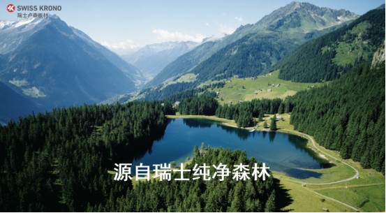 美觀環(huán)保實(shí)用的板材家具怎么選?盧森板材來(lái)幫你!