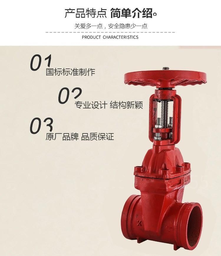 室外閥門(mén)井應(yīng)設(shè)置明桿閘閥 立式閥門(mén)暗桿明桿